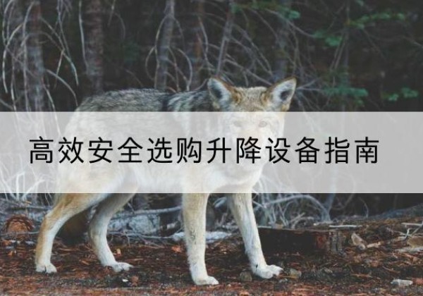 黄埔升降货梯厂家推荐-*安全选购升降设备指南