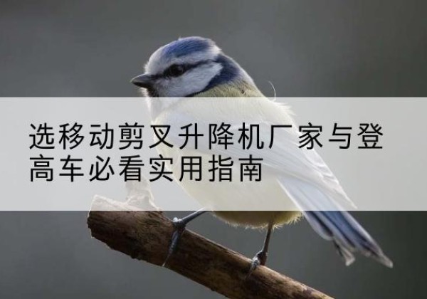 黄埔电动升降机厂家-选移动剪叉升降机厂家与登高车必看实用指南