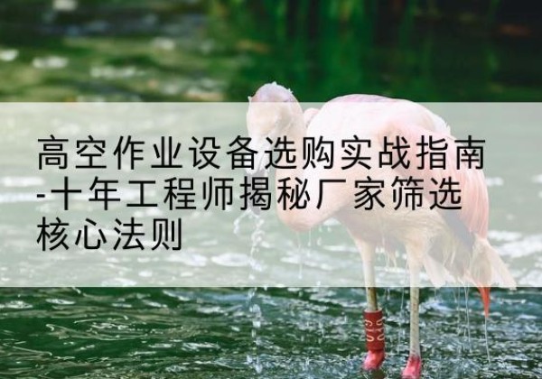 黄埔剪叉式升降机厂家-高空作业设备选购实战指南-十年工程师揭秘厂家筛选核心法则